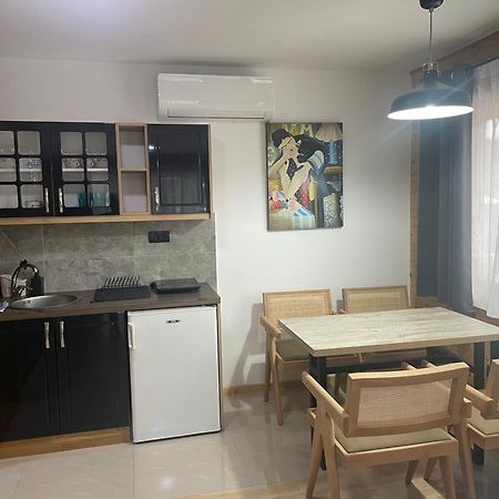 Alexandar Studio Apartman Мокра Гора Екстер'єр фото